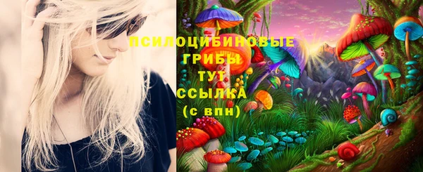 мдпв Бугульма